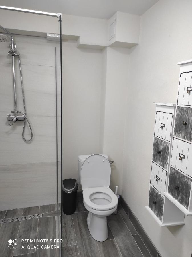 Cozy Loft Apartament Sighetu Marmaţiei Εξωτερικό φωτογραφία