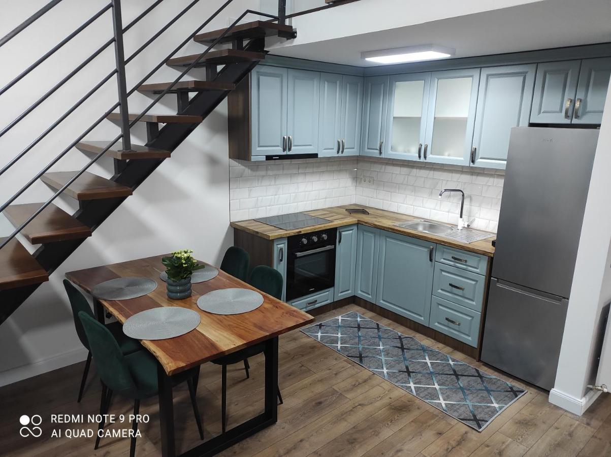 Cozy Loft Apartament Sighetu Marmaţiei Εξωτερικό φωτογραφία