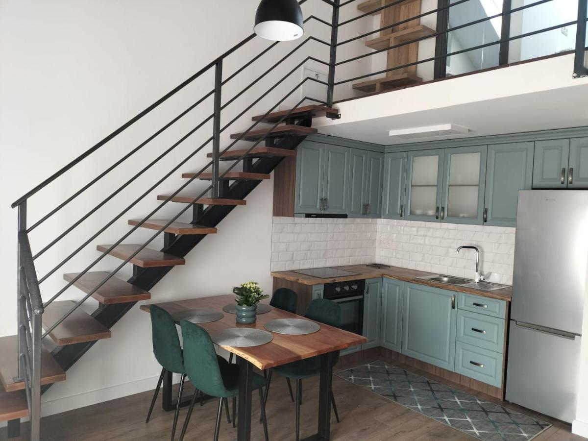 Cozy Loft Apartament Sighetu Marmaţiei Εξωτερικό φωτογραφία