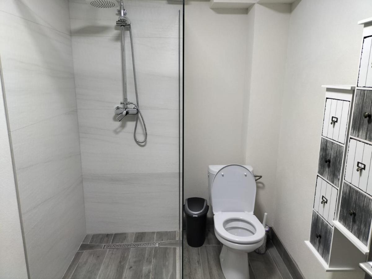 Cozy Loft Apartament Sighetu Marmaţiei Εξωτερικό φωτογραφία