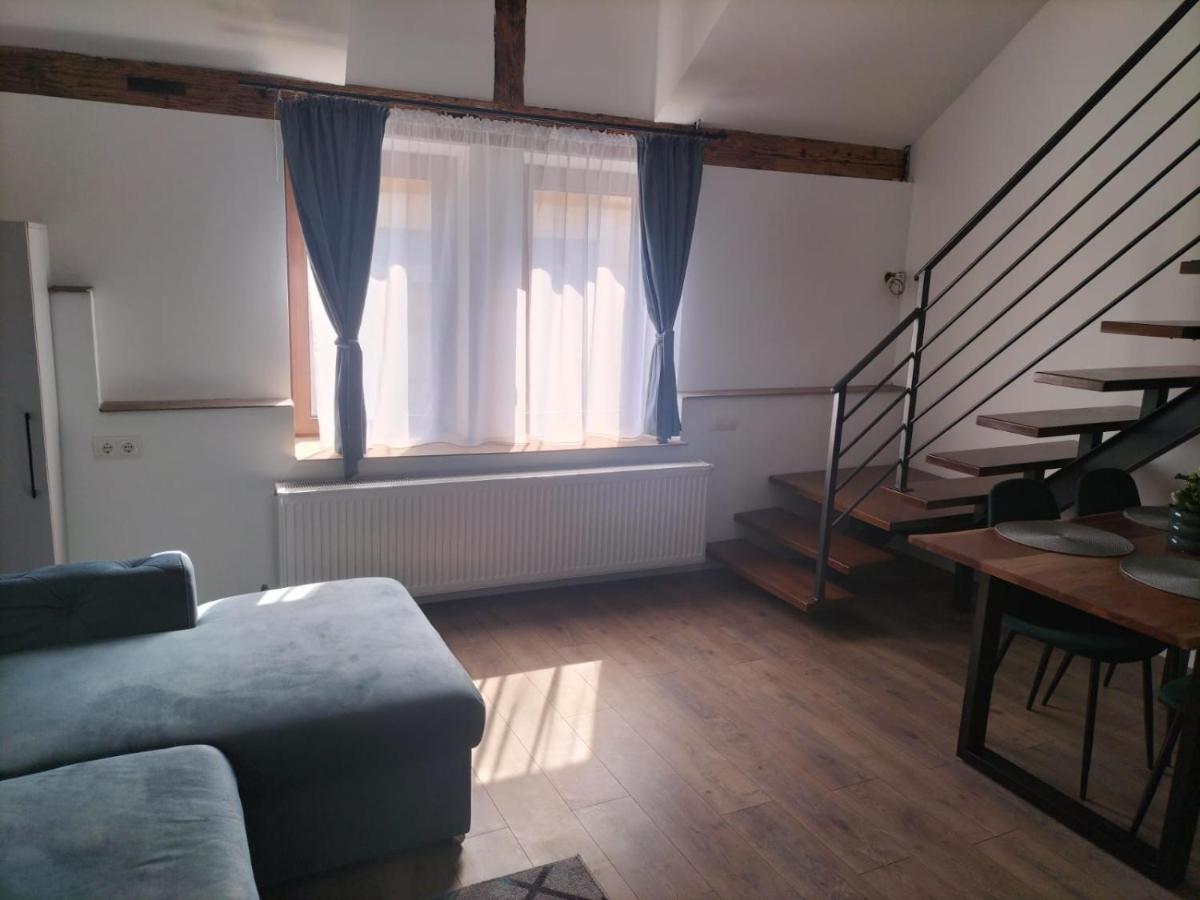 Cozy Loft Apartament Sighetu Marmaţiei Εξωτερικό φωτογραφία