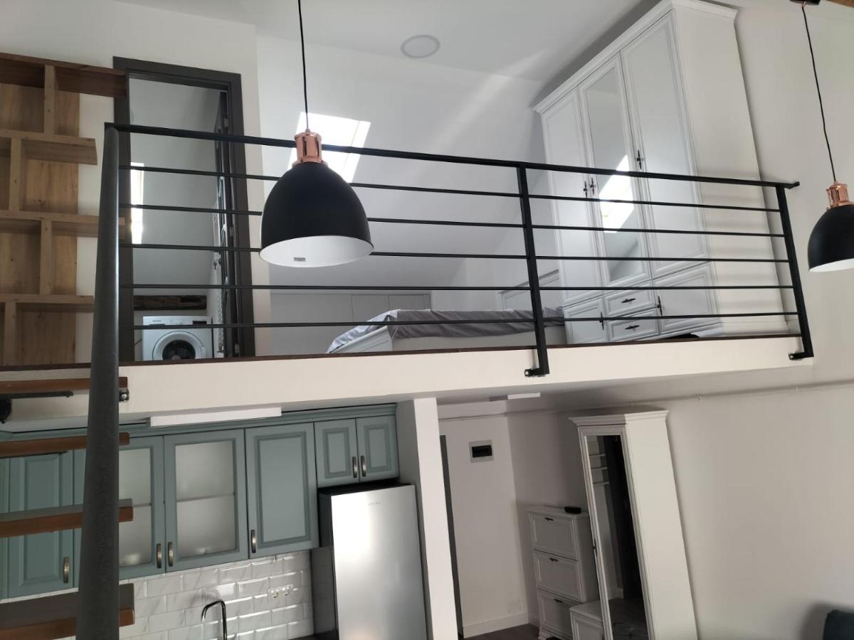 Cozy Loft Apartament Sighetu Marmaţiei Εξωτερικό φωτογραφία