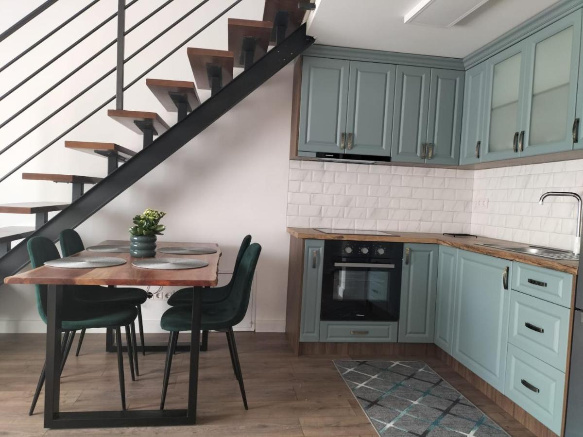Cozy Loft Apartament Sighetu Marmaţiei Εξωτερικό φωτογραφία