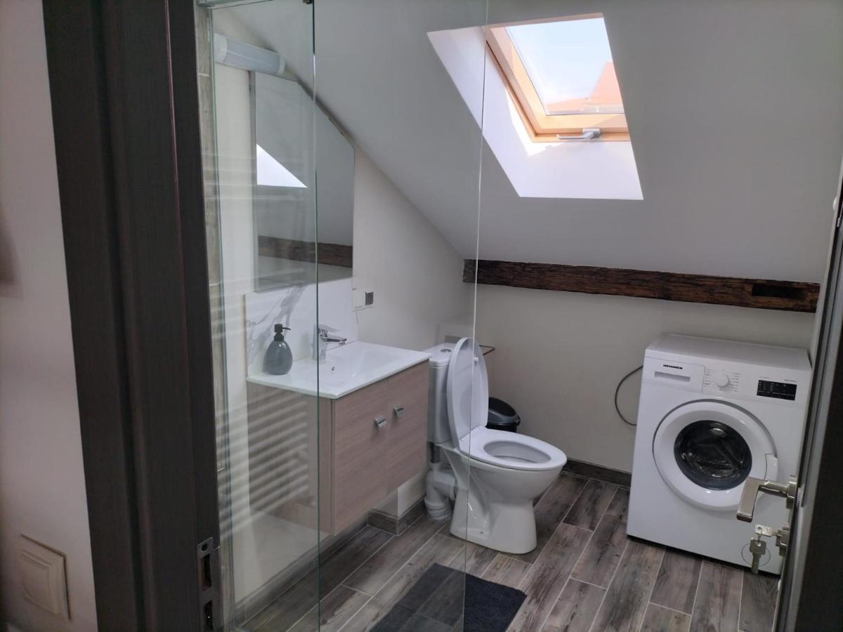 Cozy Loft Apartament Sighetu Marmaţiei Εξωτερικό φωτογραφία